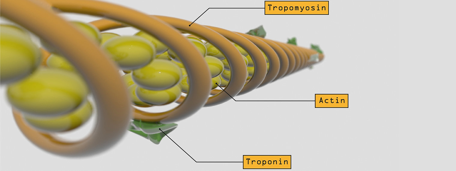 Educational scientific visualization