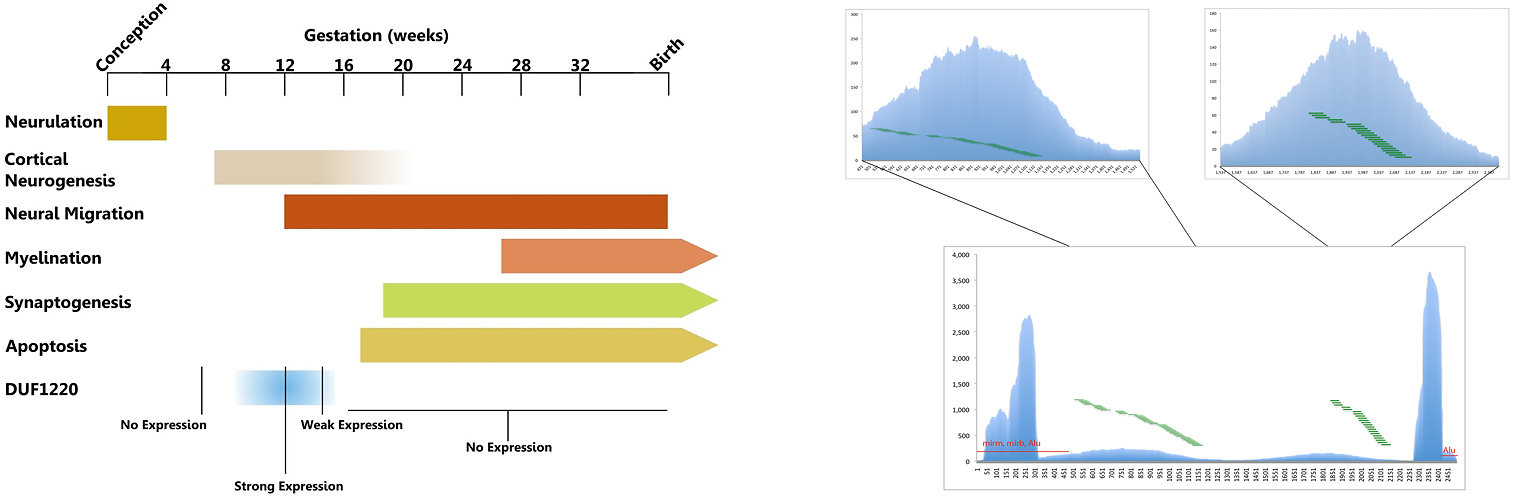 Scientific data visualization