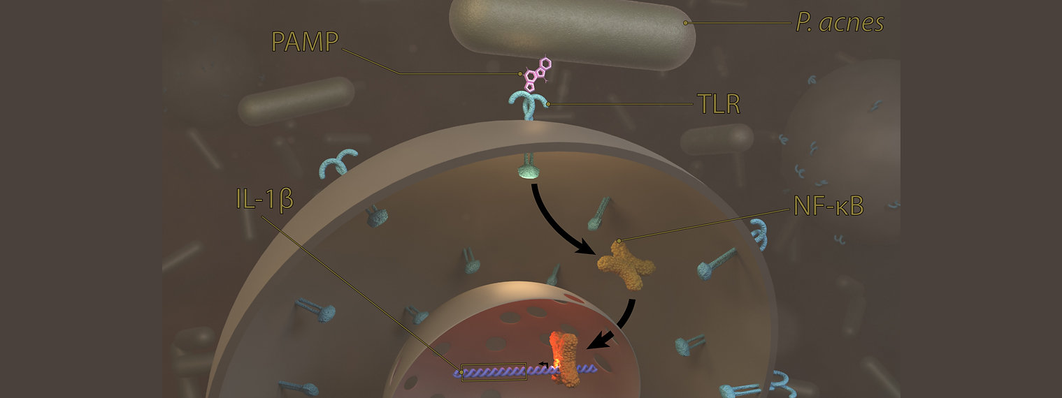 Scientific publication image