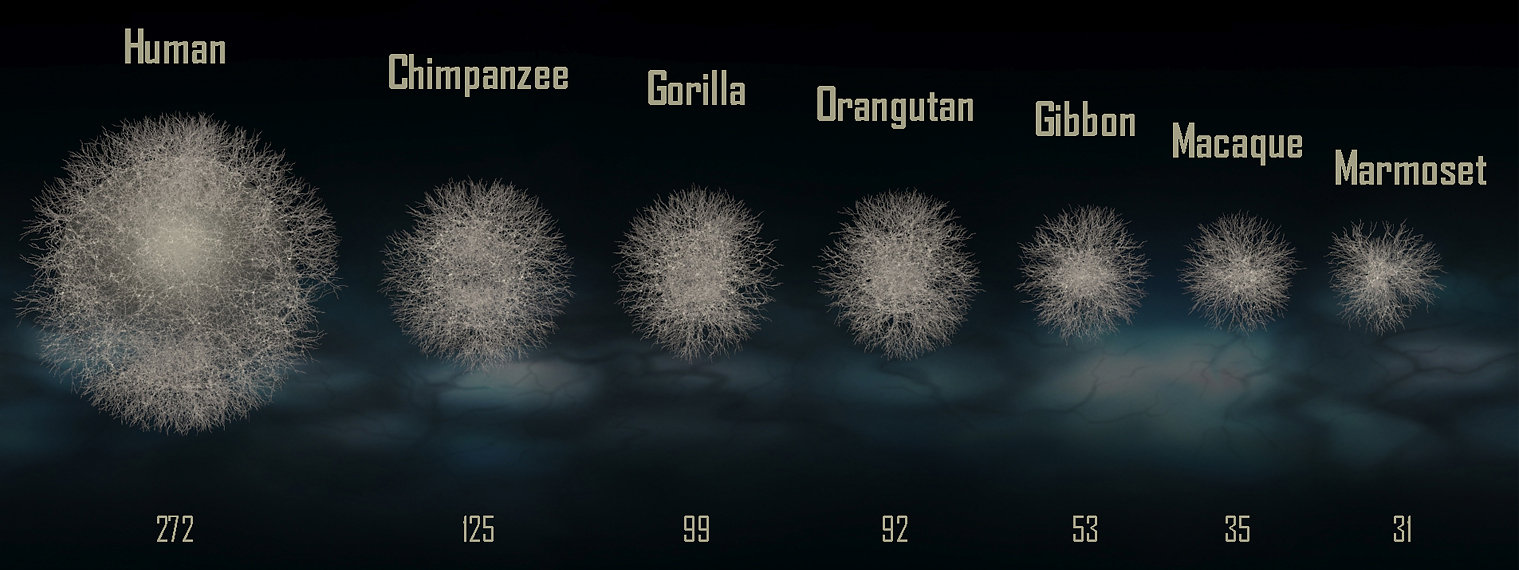 Data graphic